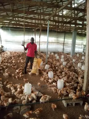 Farm Manager