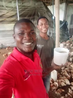 Farm Manager