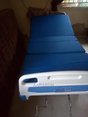 Double 2 Crank Abs Hospital Bed