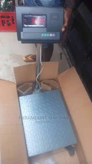 Digital Platform Scale