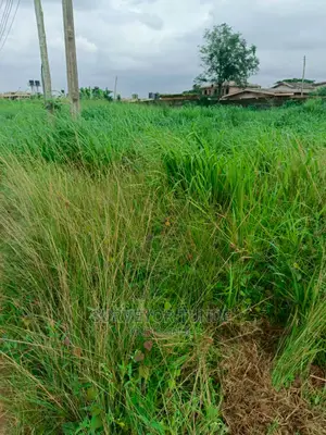 Two and Half Plot of Land Off Igbo-Olomu Ishawo Rd via Agric Ikorodu