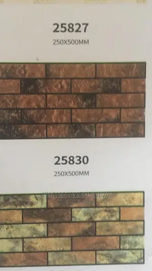 25 X 50 Outside Wall Tiles
