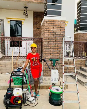Xtreme Cleaning,Upholstery,Fumigation and Bedbugs Killer