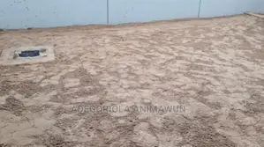 40mm Artificial Grass (+Free Installation)