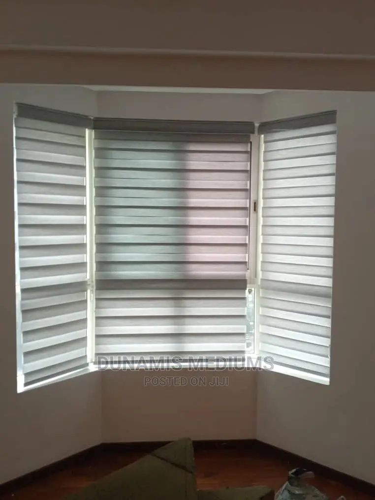 Day and Night Window Blinds