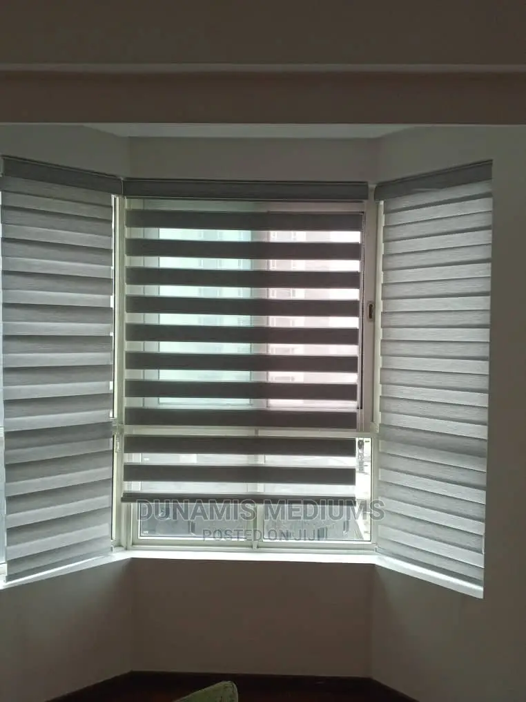 Day and Night Window Blinds