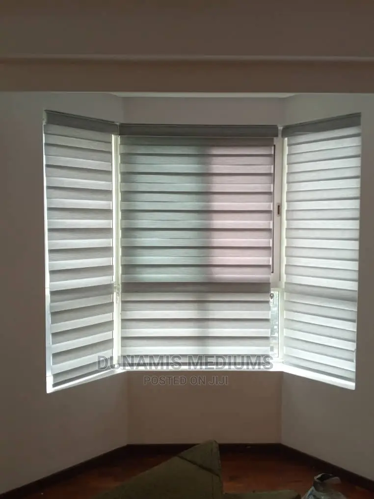 Day and Night Window Blinds
