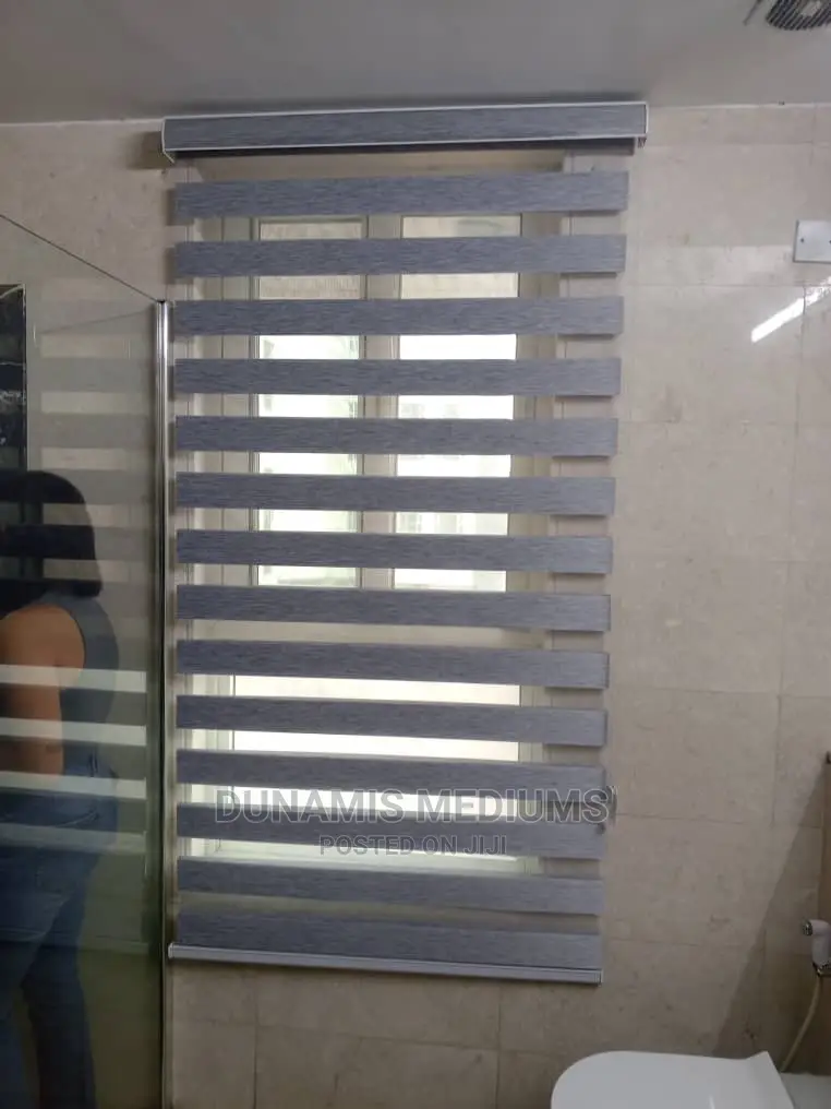 Day and Night Window Blinds.