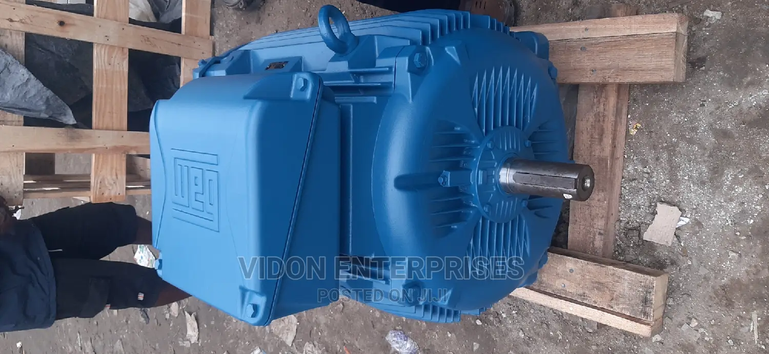 Weg Electric Motor