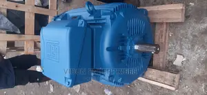 Weg Electric Motor