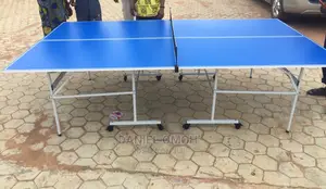 Jola Indoor Table Tennis Board