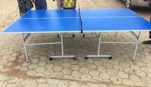 Jola Indoor Table Tennis Board