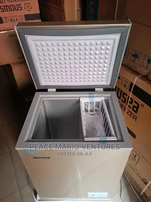 Snowsea Quality Deep Freezer 70L With 12months Warranty