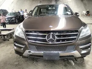 Mercedes-Benz M Class 2015 Brown