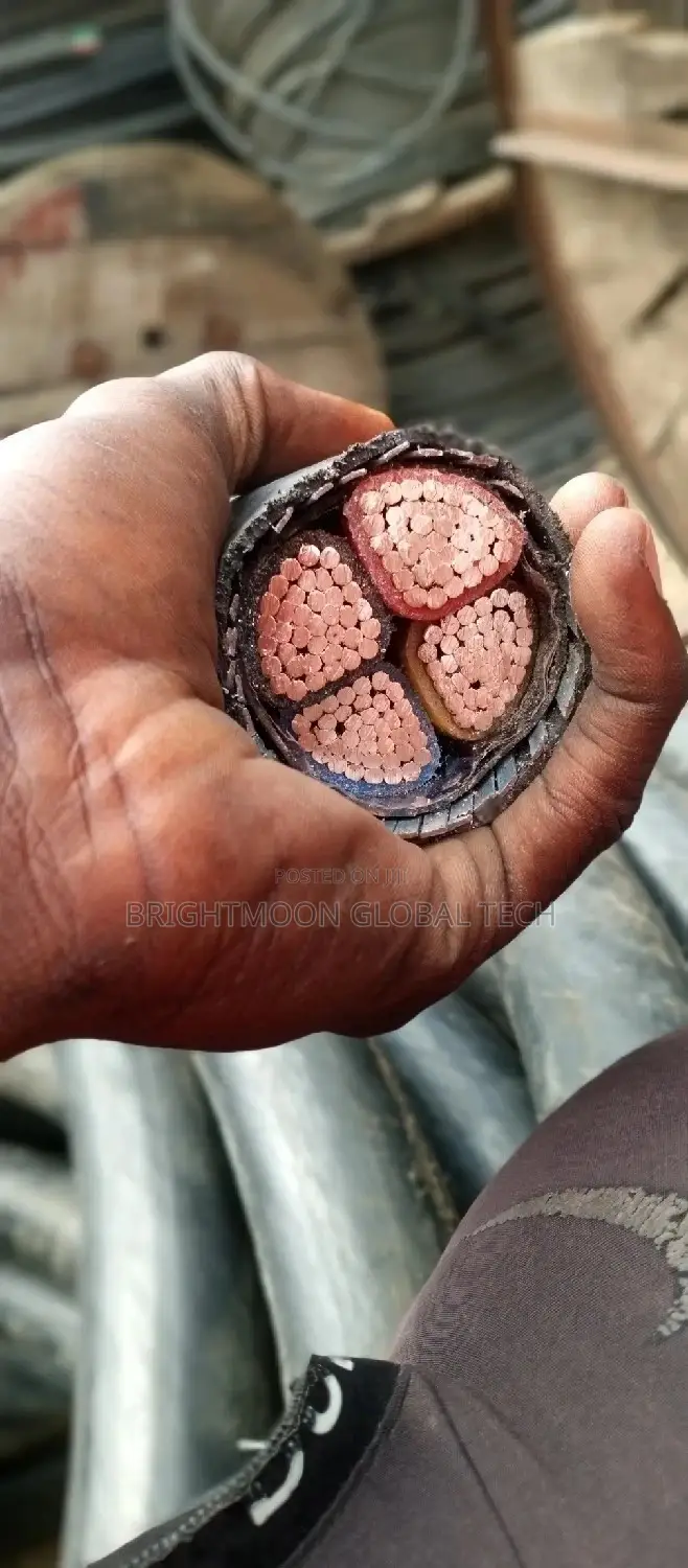 240mm Armoured Cable