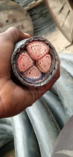 240mm Armoured Cable