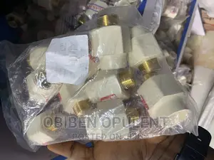 3/4 M/F Adaptor CPVC