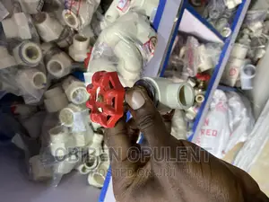 3/4 CPVC Stop Valve