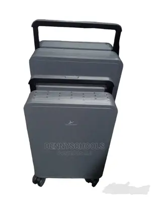 Set of 2 Ash Grey Leaves King Executive Luggage Boxes
