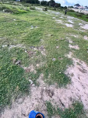 2065sqm Land at the Residential Part of Lekki Phase 1