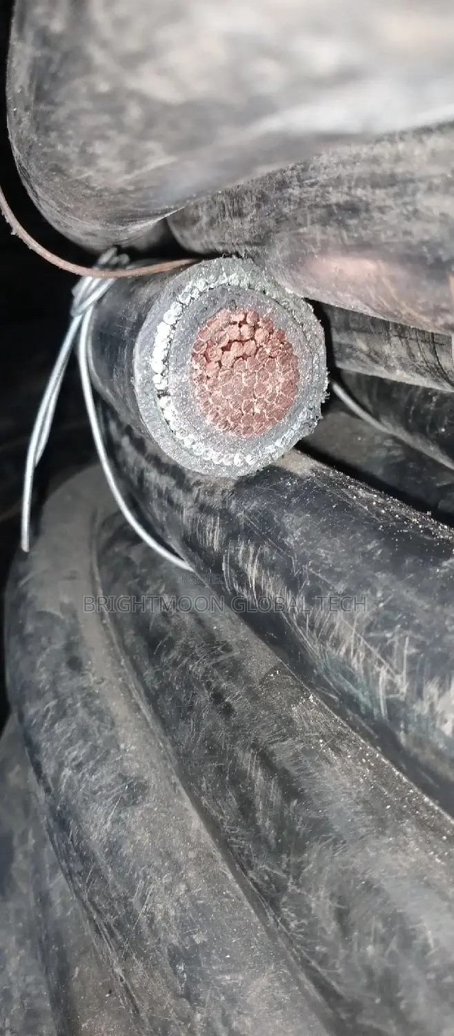 300mm Armoured Cable
