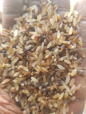 We Have Dog Rice Available