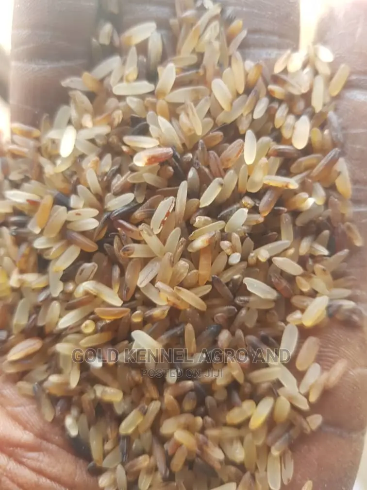We Have Dog Rice Available