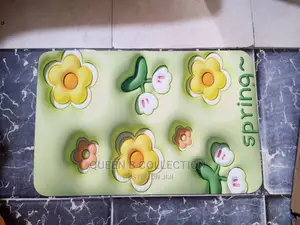 Absorbent Foot Mat