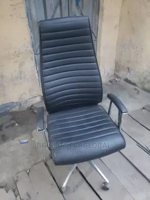 Office Ergonomic Chair (For Back Pains)