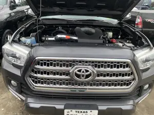 Toyota Tacoma TRD Pro 2019 Gray