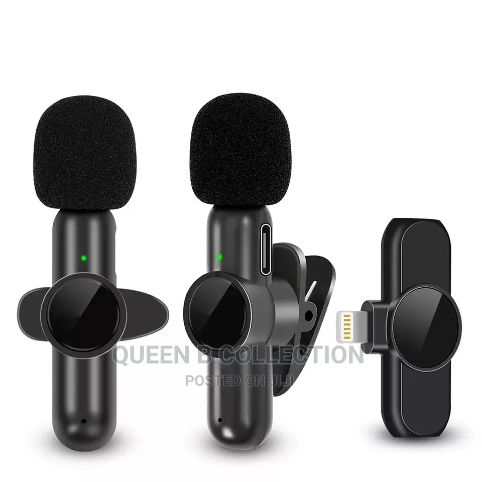 Double Wireless Microphone