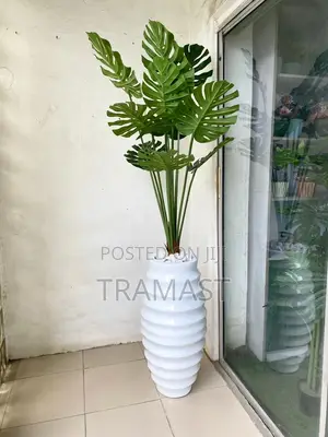 Monstera Plant With Fiberglass Pot
