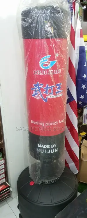 Standing Punching Bag