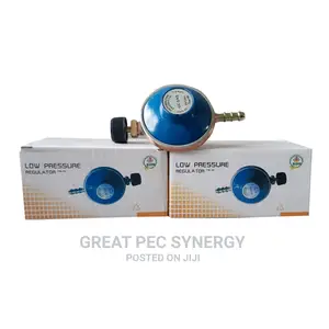 Camping Gas Regulator