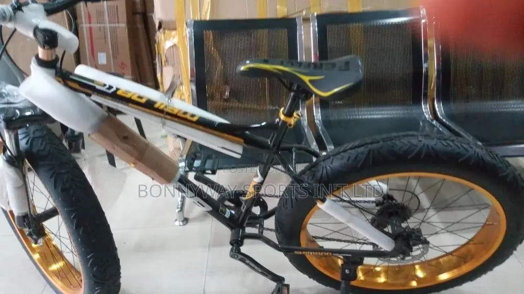 Adult Big Tires Exercise Riding Bicycle