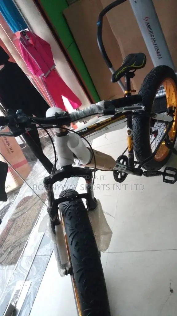 Adult Big Tires Exercise Riding Bicycle