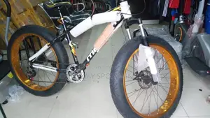 Adult Big Tires Exercise Riding Bicycle
