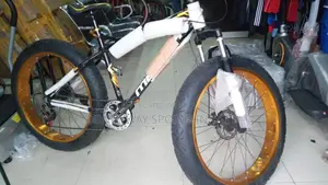 Adult Big Tires Exercise Riding Bicycle