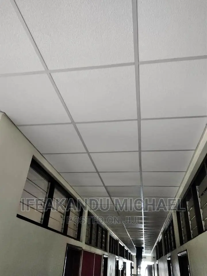 Suspended Ceiling