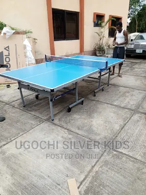 Water Resistant Sun Resistant Aluminum Table Tennis Board
