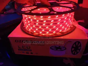 Rope Light Flexible Rope Tube Lamp Waterproof Outdoor/Indoor