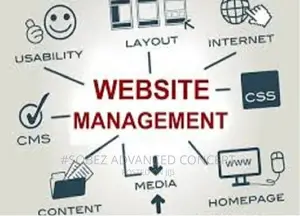 Website Content Development And Management
