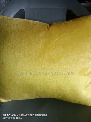 Throw Pillows