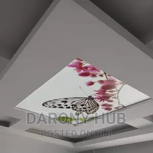 Beautiful Butterfly Stretch Criling Mural
