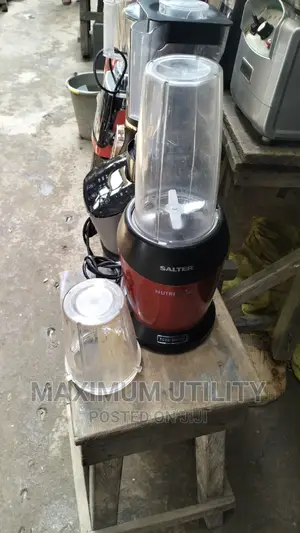Salter 1000 Watts Multi Purpose Blender and Smoothie