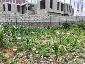 C of O Fully Paid For