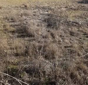 3plots(1800m2) FENCED LAND at Kennedy Okonkwo STR OSAPA
