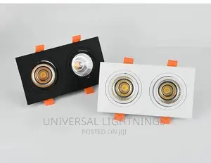 2in1 LED Down Light / Parapet Light