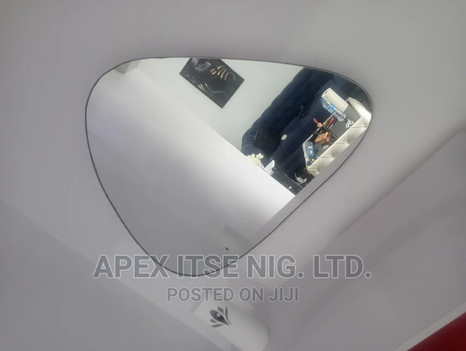 Egg Shape Mirror