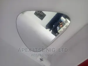 Egg Shape Mirror